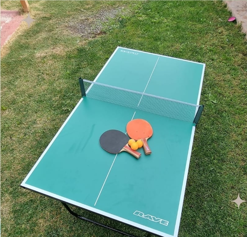Mini Ping Pong Mandi Eventos