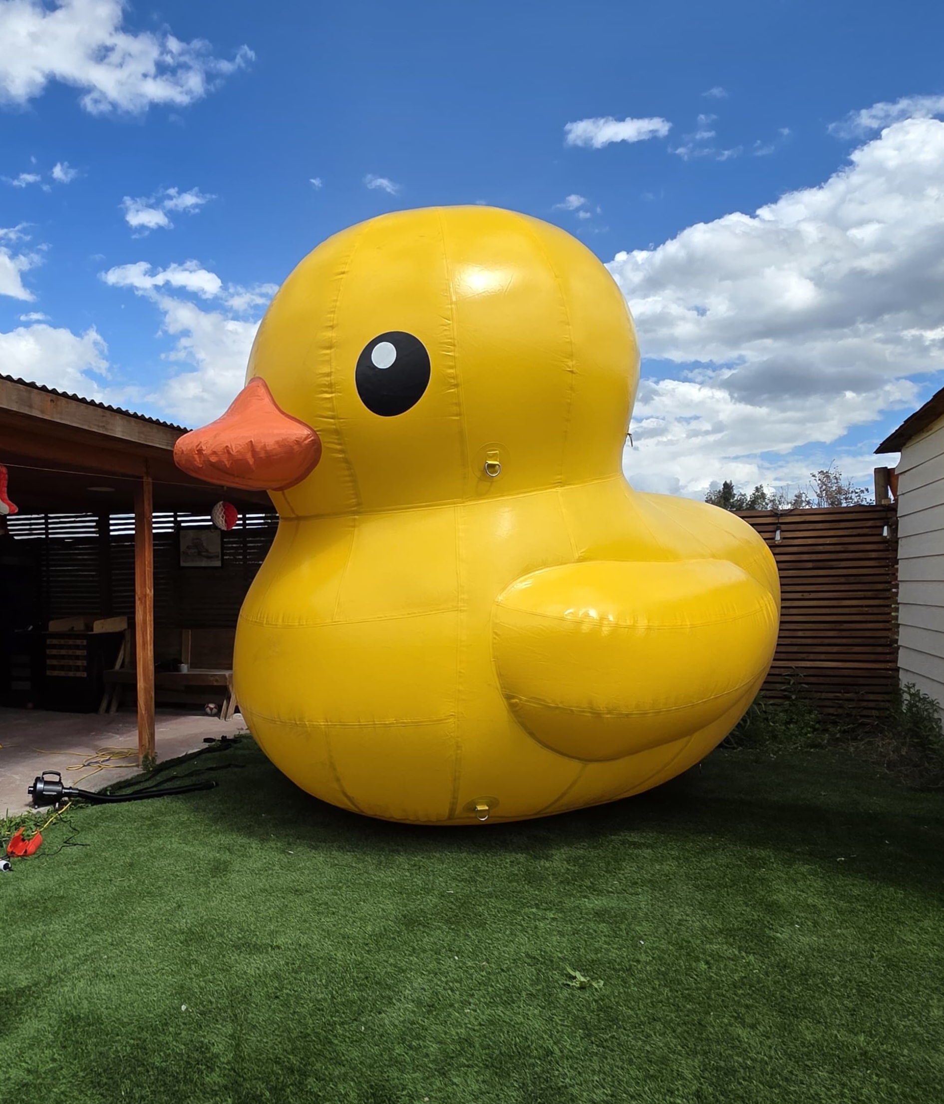 Patito Gigante Mandi Eventos